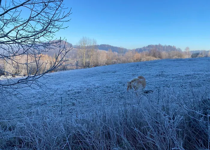Prowansja Karpacz Balia